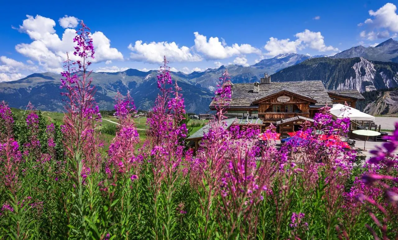 Aparthotel Hotel 3 Etoiles -Restaurant Le Pilatus Courchevel