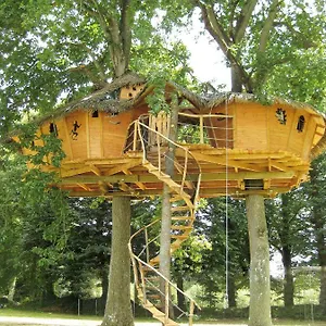 Insolite Dans Les Arbres Les Ormes, , Epiniac France